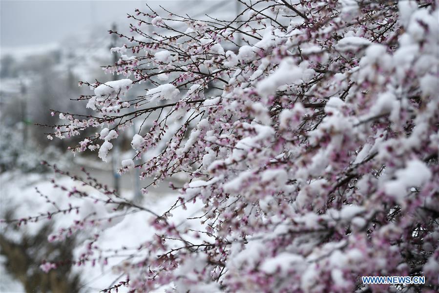中国-宁夏-固原-雪景（CN）