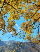 一睹秋韵商洛，再也不想离去