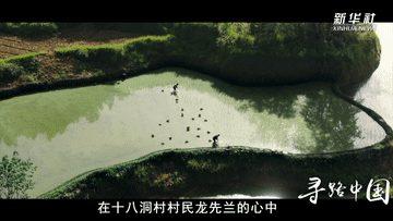 0f2c36bdd613480eacbe59856ec218d9